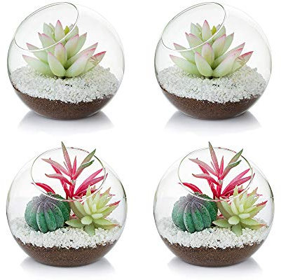 Terrario In Vetro Per Piante Ad Aria, Piccolo Terrario Da 12 Cm, 4 Pezzi Contenitori Per Terrari In Vetro Da Tavolo, Vaso Da Tavolo Con Display Da Vaso, Decorazione Interna Per Piante Grasse, Cactus,