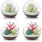 Terrario In Vetro Per Piante Ad Aria, Piccolo Terrario Da 12 Cm, 4 Pezzi Contenitori Per Terrari In Vetro Da Tavolo, Vaso Da Tavolo Con Display Da Vaso, Decorazione Interna Per Piante Grasse, Cactus,