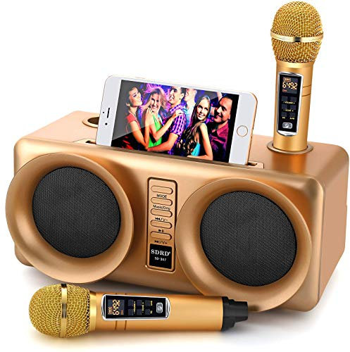 ALPOWL Karaoke Professionale Completo, cassa karaoke con 2 microfono karaoke utilizzato per riunioni di famiglia, riunioni, matrimoni, chiese, picnic, esterni e interni (Gold)