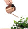 Agatige Regadera pequeña de 300 ml, regadera de Interior de Oro Rosa con Pico Largo de Acero Inoxidable para Plantas, Flores de jardín