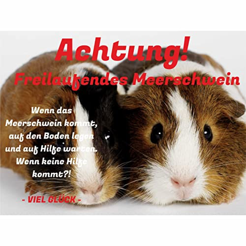 INDIGOS UG - Schilder selbst gestalten - Achtung freilaufendes Meerschwein - Schild personalisiert - Foto & Wunschtext - Aluverbundplatte - ab 20x15 cm - Spruch - Geschenkidee Tier - Zaun - Türschild
