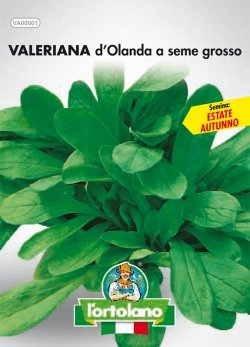 L'ORTOLANO Sementi orticole di qualità in busta termosaldata (160 varietà) (VALERIANA D’OLANDA A SEME GROSSO)