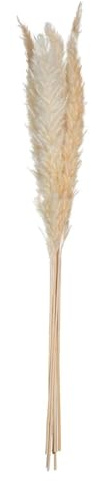 JJA 6 Stiele, getrocknete Blumen, natürliche Pampa, 65 cm, Beige, cm