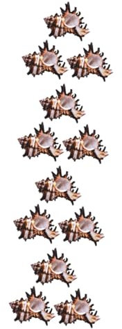 Kisangel 12 STK Muschel garnieren kreative Muscheldekoration Muscheln zum Basteln gehäuse exquisites Muschelhandwerk Schalenboote für Aquarien Hülse Charme Jakobsmuschel schmücken