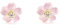 Damen & Kinder Perlmutt pink Blumen Ohrstecker - Gelbgold 9 Karat (375) - Mondepetit - Geschenkbox - Garantiezertifikat