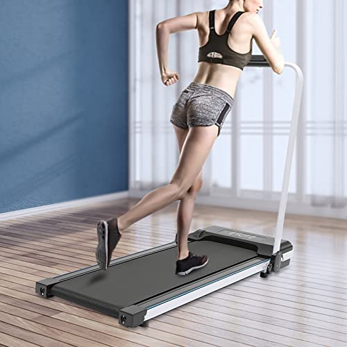 RainWeel Cinta de correr para el hogar, 2 en 1, plegable, cinta de correr eléctrica, 10 km/h, bicicleta estática con mando a distancia e indicador LED para oficina en casa (negro)