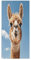 QWNMD Weiche Handtücher, Alpaka, Lama, bedruckt, superfeine Faser, Handtücher, Gesichtshandtücher für Badezimmer, Reisen, Camping, Hotel, Spa, Pool, 72,9 x 35,1 cm