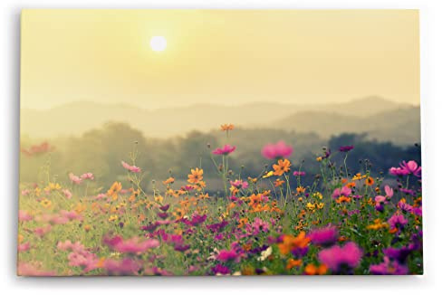 Paul Sinus Wandbilder Deko Kunstdruck 90x60cm Wildblumen Blüten Blumen Blumenwiese Sonnenschein