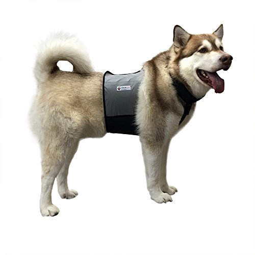 CoolerDog Dog Cooling Vest & Cooling Collar – Ice Vest for Hot Weather Heat Relief, Re-Freezable Pure Water Inserts (Large 27”–34” Girth)