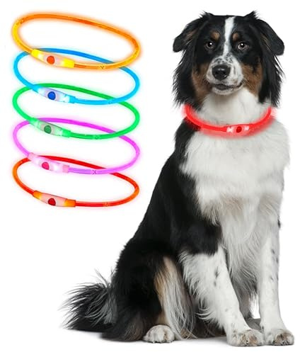 Ultra Red Silicone 70cm LED Light Up Dog Collar Cut to Size Rechargeable 3 Settings Large Dogs Medium Small Puppies Cats Flashing Dog Collar Lights for Night Safety USB Charging Collars