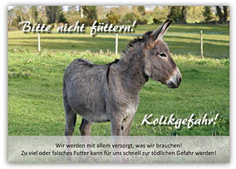 Tierisch werben Weidezaunschild Bitte Nicht füttern! Kolikgefahr! Esel DIN A4 Weide Warnschild Hinweisschild (Hartschaum)