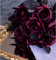 NatureMan Künstliche Rosenblüten, schwarze Rosen, einzelner Stiel, künstliche Seidenblumen, realistische Blütenflora für Party-Dekoration, Brautstrauß, Halloween-Dekoration, Weinrot, 10 Stück