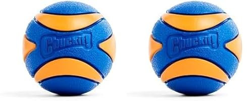 Chuckit! CH52068 Ultra Squeaker Ball Medium 1-er Pack (Packung mit 2)
