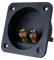 High Current Spring Cup Connectors For Professional Sound Systems And Installations With 4mm Thick Plate AntiResonance Subwoofer Terminals Box