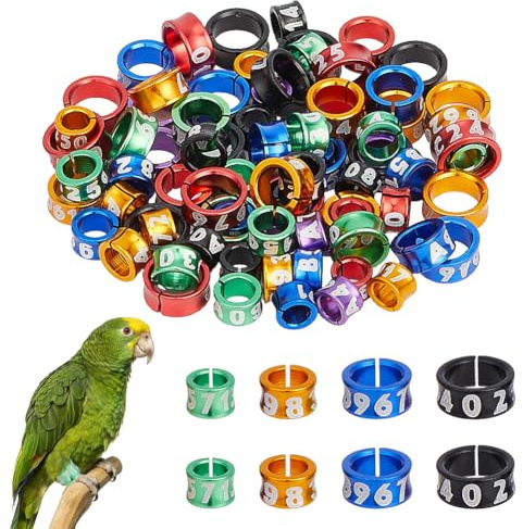 nbeads 80 Pcs 4 Tailles Bague pour Patte D'Oiseau Ouverte, Bagues de Patte en Alliage avec Numéro de Série pour Perroquets Hibiscus Pivoines Pigeons Cailles Étiquettes de Dressage