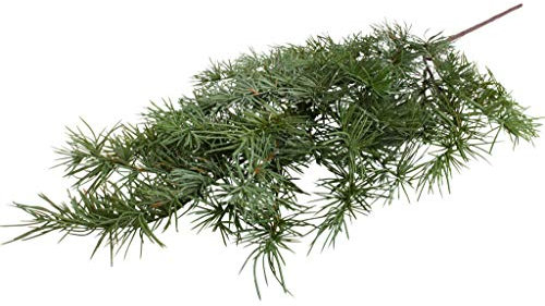 Floratexx künstlicher Edel-Zedernast (Weihnachtszweig) Länge ca. 80 cm