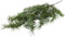 Floratexx künstlicher Edel-Zedernast (Weihnachtszweig) Länge ca. 80 cm