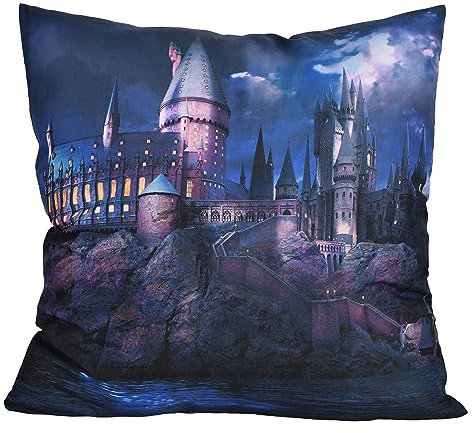 Elbenwald Harry Potter Kissen mit Hogwarts Motiv 40 x 40 cm für Herren Damen Unisex Mehrfarbig