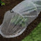 garden mile Copertura per piantine di piante in polytunnel, mini serra in polietilene per verdura, frutta, fiori, controllo della temperatura dei parassiti, tunnel da esterno