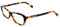 Brillen Love Moschino MOL538 086 HAVANA 53/14/ WOMAN