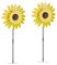 Relaxdays Windrad Sonnenblume, 2er Set, H x B x T: 76 x 29 x 8 cm, Doppel-Windrad für Garten & Balkon, zum Stecken, gelb