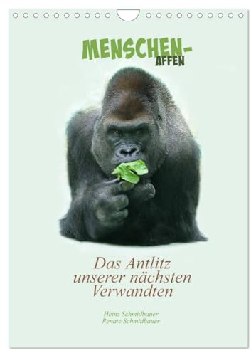 Menschenaffen - Das Antlitz unserer nächsten Verwandten (Wandkalender 2026 DIN A4 hoch), CALVENDO Monatskalender: Die Gesichtesausdrücke unserer ... - unglaublich menschlich. (CALVENDO Tiere)