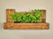 Kräuterregal Wand Blumenregal Holz Palette Balkon draußen Küchenregal Blumenkasten Balkonpflanzen Pflanzkasten Gartenregal Wandregal (Zinkschale)