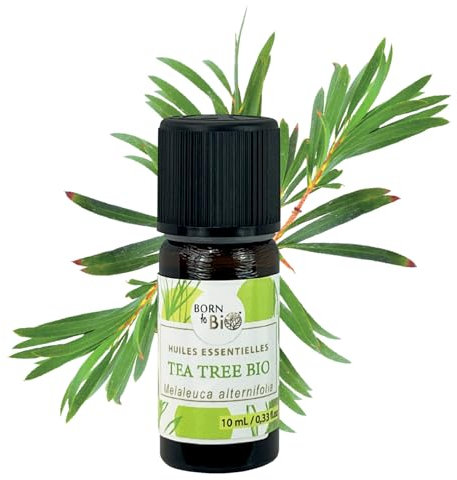 BORN TO BIO Bio-TeeBaum, ätherisches Öl, 100% naturrein- Antiseptische und Reinigende Eigenschaften– AB zertifiziert - 10ml
