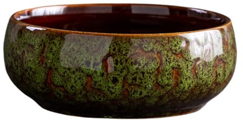 Fioriera bassa, vaso per piante grasse, in ceramica retrò, per piante grasse, vaso per piante grasse, vaso rotondo in ceramica, vaso spazioso a prova di perdite, per piante grasse interne ed esterne