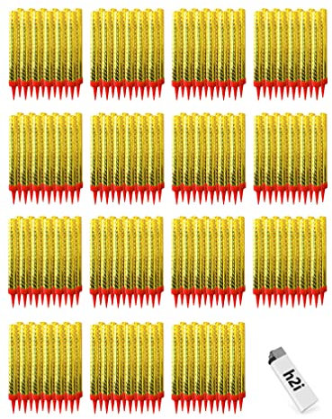 h2i Eisfontäne 180 Stück Eissterne Zaubersterne Fontäne in Gold für Verlobung Hochzeit Geburtstag, Jugendparty Tischfeuerwerk, Deko für Torten Kuchen