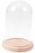 Cabilock cúpula de Cristal de Flores secas Campana Decorativa Cristal Transparente decoración Vegetal Vidrio Cubierta cúpula Flores Cubierta Mini