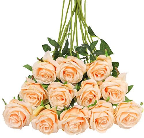 Tifuly 12 PCS Künstliche Rosen, 19,68 '' Single Long Stem Fake Rose Seide Braut Hochzeitsstrauß Realistische Blume für Hausgarten Party Hotel Büro Dekor (Blossom Roses, Leichter Champagner)