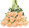 Tifuly 12 PCS Künstliche Rosen, 19,68 '' Single Long Stem Fake Rose Seide Braut Hochzeitsstrauß Realistische Blume für Hausgarten Party Hotel Büro Dekor (Blossom Roses, Leichter Champagner)