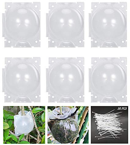 Pflanzenwurzel-Anzucht-Box, wiederverwendbares Pflanzenwurzel-Gerät, Pflanzenbewurzelung, Pflanzenkasten, Hochdruck-Anzuchtkugel, Gartenpflanzen-Box (klein (5 cm × 6 Stück), transparent)