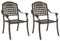 vidaXL Bronze Gusseisen Gartenstuhl mit Vintage antikem Finish für Terrasse und Balkon | Glatte, Bequeme Sitzgelegenheiten, entspannender Garten, traditionelle Stühle, Metallmöbel, stabil