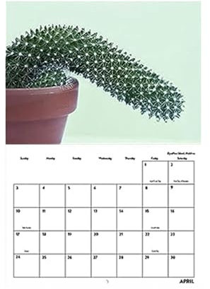 Erwachsenenkalender, Abenteuer, Natur, begehbare Reise mit erstaunlichen Illustrationen