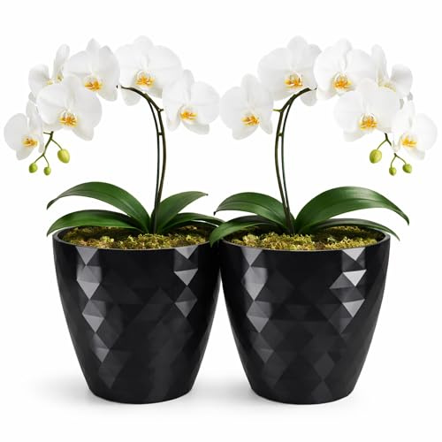 PECZEKO Maceta Brillante, Maceta de Plástico, Maceta Decorativa para Flores Grandes y Pequeñas, Juego de 2 Macetas, Macetas, Macetas para Hierbas, (Paquete de 2) Negro, ø 25 cm