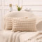 Mandioo 2er Set Super Soft Plüsch Faux Pelz Dekokissen Lumbar Kissenbezüge 30x50 cm Beige, Plaid Textur Moderne Luxus Kissenbezug Sofakissen Dekorativ Couchkissen Kissenhülle für Sofa Couch