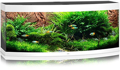 JUWEL Aquarium - Acuario 10350 Vision, 450 led