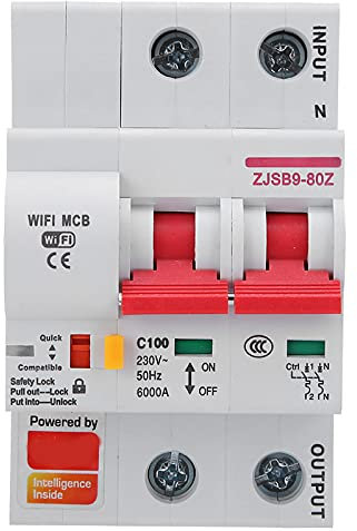 AC220 V WLAN-Schutzschalter, intelligent, Miniatur PA66-DSM, feuerfeste Schutzhülle, unterstützt WLAN, Handy, App-Fernbedienung (2P 100 A)