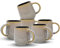 UNIQUE HOME LIVING Coffee Mug Set of 6, 420ml Reactive Glaze Stoneware Coffee Mugs for Hot Drinks, Cocoa Milk Latte Coffee Cups with Handle, Tea Mugs, Microwave and Dishwasher Safe - Grey