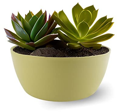ECOMACETAS FLOWERPOT STORE Maceta Suculentas Grande, Redonda Baja para Plantar Varias Suculentas en una Misma Maceta. De Plástico (1, 20 cm)