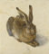 Diamond Painting Kits For Kids Albrecht Dürer《The Rabbit》 DIY 5D Diamond Paintings For Home Wall Decor Gift Diamond Painting Art 12 * 16In/30 * 40Cm