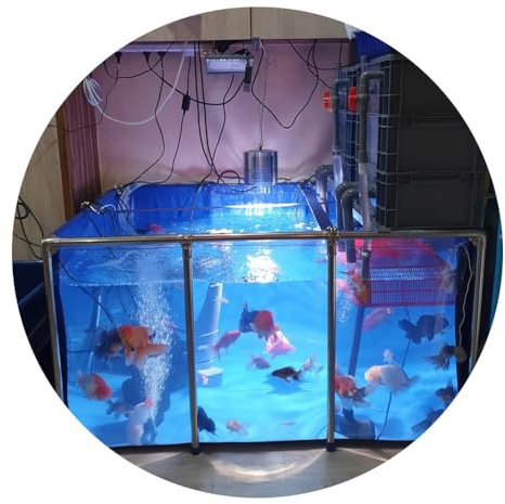 Großer Fischteich aus PVC-Segeltuch mit Stahlrahmen – klares Sichtfenster für die Zucht von Koi und Goldfischen, idealer Aquariumpool für den Garten im Freien – geräumiges und langlebiges De