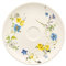 Rosenthal Brillance Fleurs des Alpes Kombi-Untertasse Coup