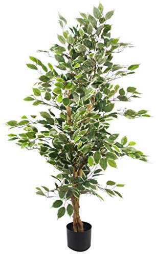 Leaf Artificial Ficus Tree/Plant, White Edge Bushy, 120cm