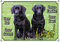 wunderschönes Hundeschild - 2 Schwarze Labrador Retriever - Warnschild in Premiumqualität, DIN A4