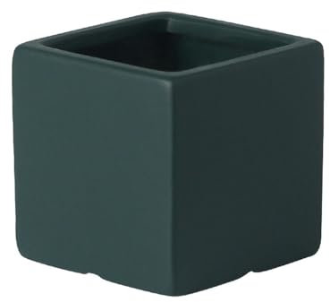 ESTINTENG Maceta de cerámica cuadrada Morandi de estilo nórdico, minimalista, para interiores, oficina, hotel, simulación, maceta, verde negruzco, maceta de cerámica, 8 x 8 cm