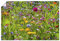 ARTLAND Wanddeko Poster & Kunstdrucke Wandposter 90x60 cm Blumenbilder Blumenwiese Blüten Frühling Blumen Bunt U2KT