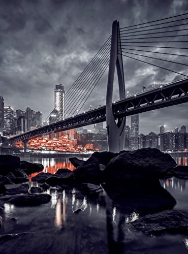 Holzpuzzle Erwachsene 1000 Teile New York San Francisco Bridge Bei Nacht, Schwarz-Weiß-Foto 75 * 50Cm